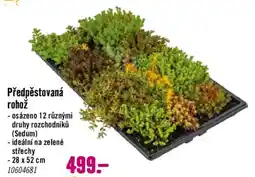 Hornbach Předpěstovaná rohož nabídka