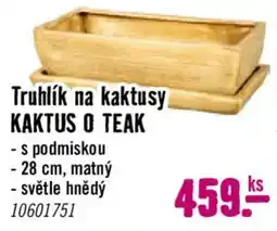 Hornbach Kaktus o teak nabídka
