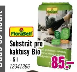 Hornbach FloraSelf substrát pro kaktusy bio nabídka