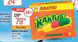Globus Kaktus Zmrzlina nabídka