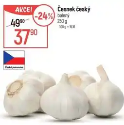 Globus Česnek český nabídka