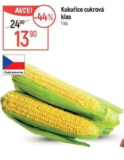 Globus Kukuřice cukrová klas nabídka