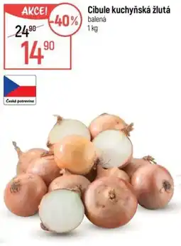 Globus Cibule kuchyňská žlutá nabídka