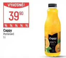 Globus Cappy pomeranč nabídka