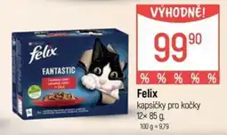 Globus Felix kapsičky pro kočky nabídka