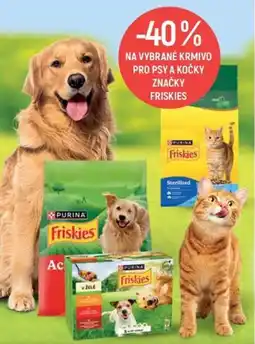 Globus Friskies nabídka