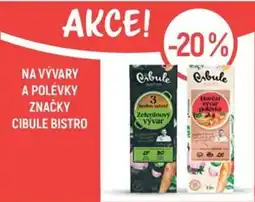 Globus Cibule Bistro vývary a polévky nabídka