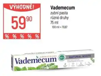 Globus Vademecum zubní pasta nabídka