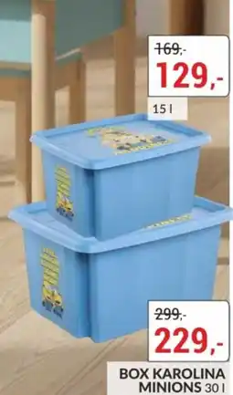 Baumax Box karolina minions nabídka