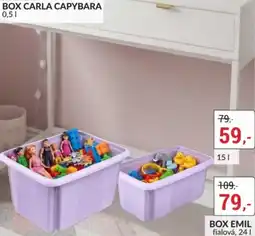 Baumax Box emil fialová nabídka