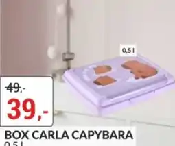 Baumax Carla capybara nabídka