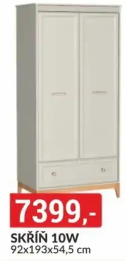 Baumax SKŘÍŇ 10W nabídka