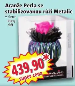 Norma Aranže Perla se stabilizovanou růží Metalic nabídka
