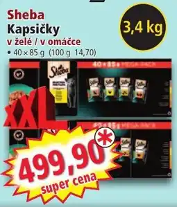 Norma Sheba Kapsičky v želé / v omáčce nabídka
