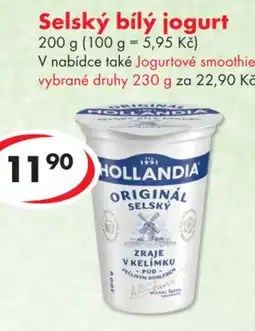 CBA Hollandia selský bílý jogurt nabídka