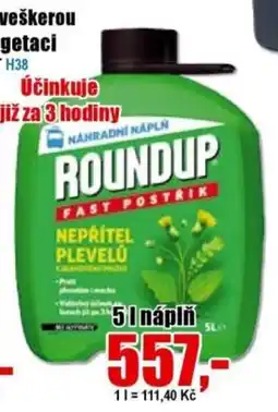 EVA Roundup fast postrik nabídka