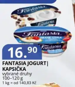 Potraviny CZ Fantasia jogurt | kapsička nabídka