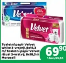 Brněnka Velvet toaletní papír nabídka