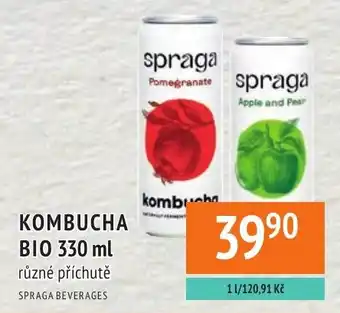 Spraga kombucha