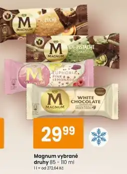 TEMPO Magnum vybrané druhy nabídka