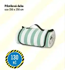 TEDi Pikniková deka nabídka