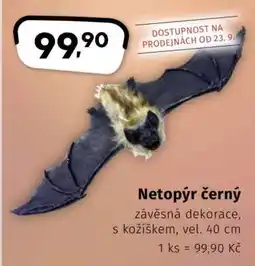 Coop Netopýr černý nabídka