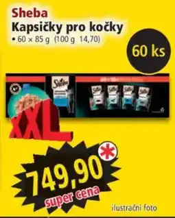 Norma Sheba kapsičky pro kočky nabídka