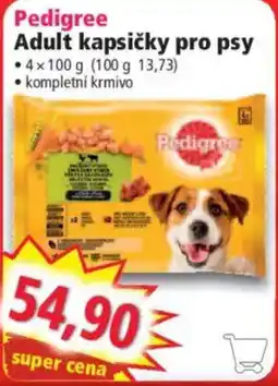 Norma Pedigree adult kapsičky pro psy nabídka