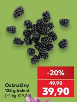 Kaufland Ostružiny nabídka