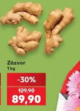 Kaufland Zázvor nabídka