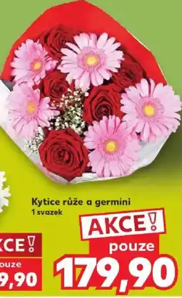 Kaufland Kytice růže a germini nabídka