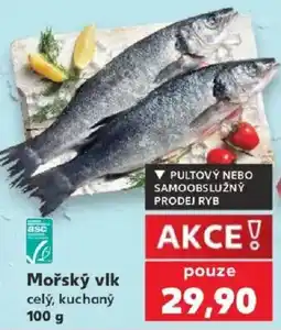 Kaufland Mořský vlk nabídka