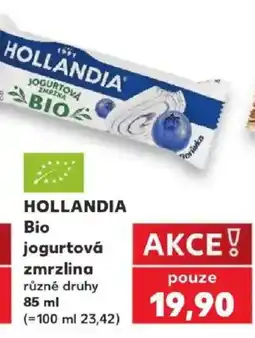 Kaufland Hollandia Bio jogurtová zmrzlina nabídka