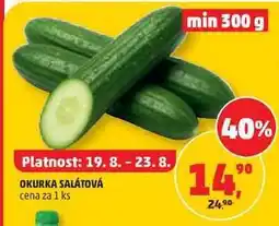 Penny Market OKURKA SALÁTOVÁ nabídka