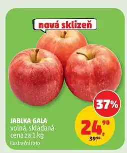 Penny Market JABLKA GALA nabídka