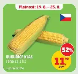 Penny Market Kukuřice klas nabídka