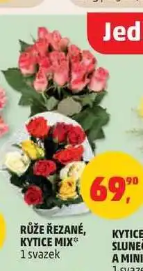 Penny Market Růže řezané, kytice mix nabídka