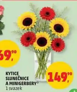 Penny Market Kytice slunečnice a minigerbery nabídka