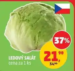 Penny Market Ledový salát nabídka