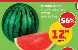 Penny Market MELOUN VODNÍ nabídka
