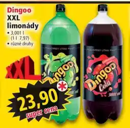 Norma Dingoo XXL limonády nabídka