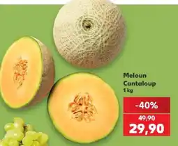 Kaufland Meloun Cantaloup nabídka