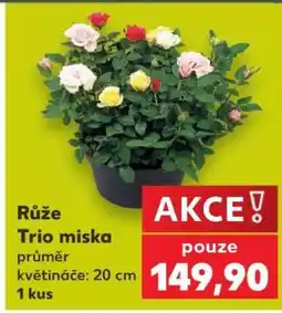 Kaufland Růže Trio miska nabídka