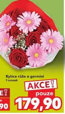 Kaufland Kytice - Růže a germini nabídka