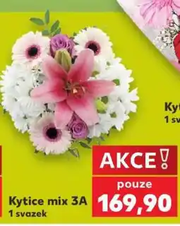 Kaufland Kytice mix 3A nabídka