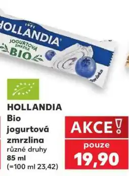 Kaufland HOLLANDIA BIO Jogurtová zmrzlina nabídka