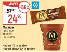 Globus Magnum nabídka