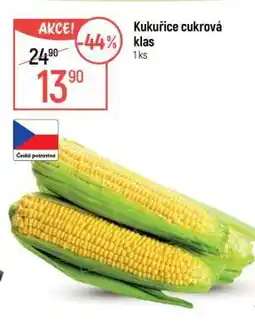 Globus Kukuřice cukrová klas nabídka