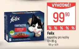 Globus Felix kapsičky pro kočky nabídka