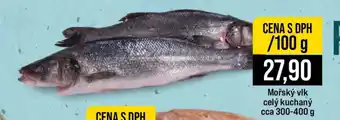 Jip Mořský vlk nabídka